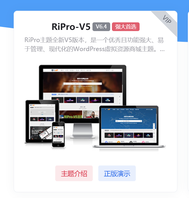 图片[2]-RiPro V5主题V6.4 官方原版最新主题含激活授权文件-河极