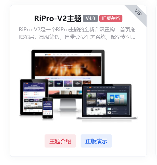 图片[1]-RiPro V2主题V4.8 官方原版V2最高版本主题含激活授权文件-河极